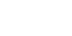 TOYJİ