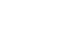 VSight