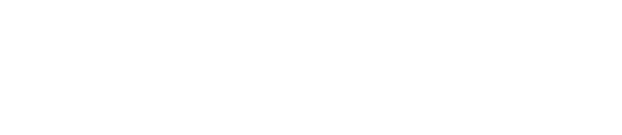 NisusAI
